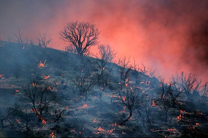 Castaic Fire